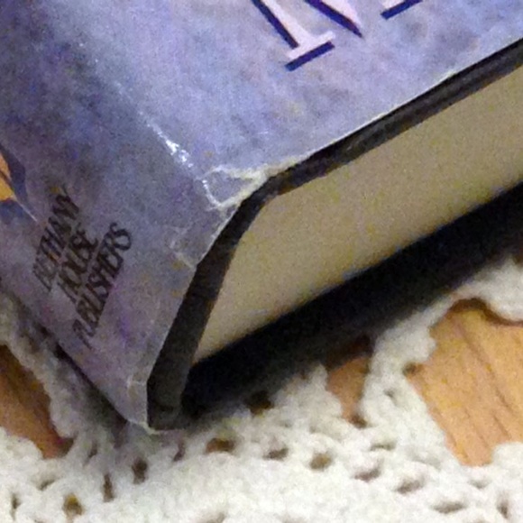 Christian Novel  - Heathersleigh Homecoming, vol 3 in series - Picture 6 of 6